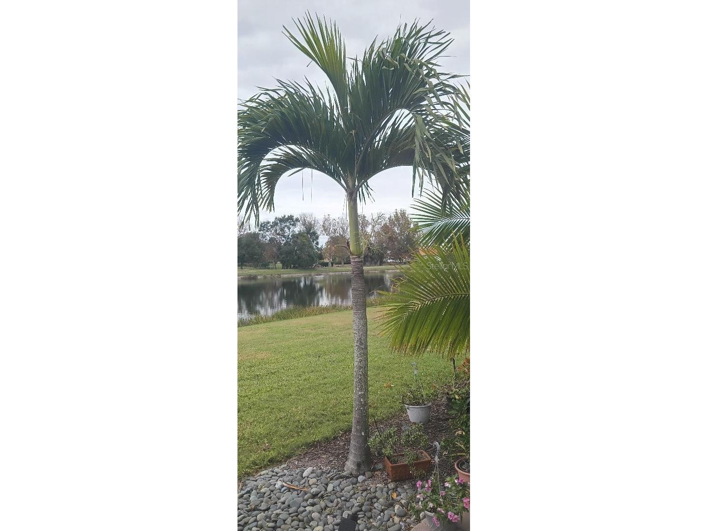 6650 Willowshire Way Bradenton FL 34212 A4674146 image25