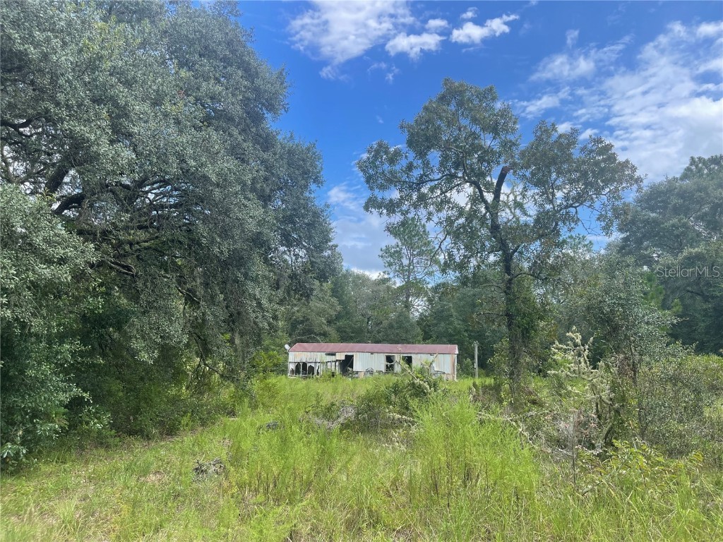 6651 NE 122nd Avenue Williston FL 32696 OM682737 image1