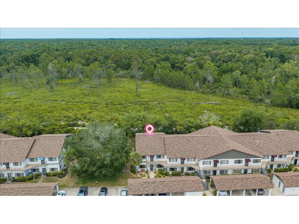 6653 River Run Boulevard #6653 Weeki Wachee FL 34607 TB8524803 image3