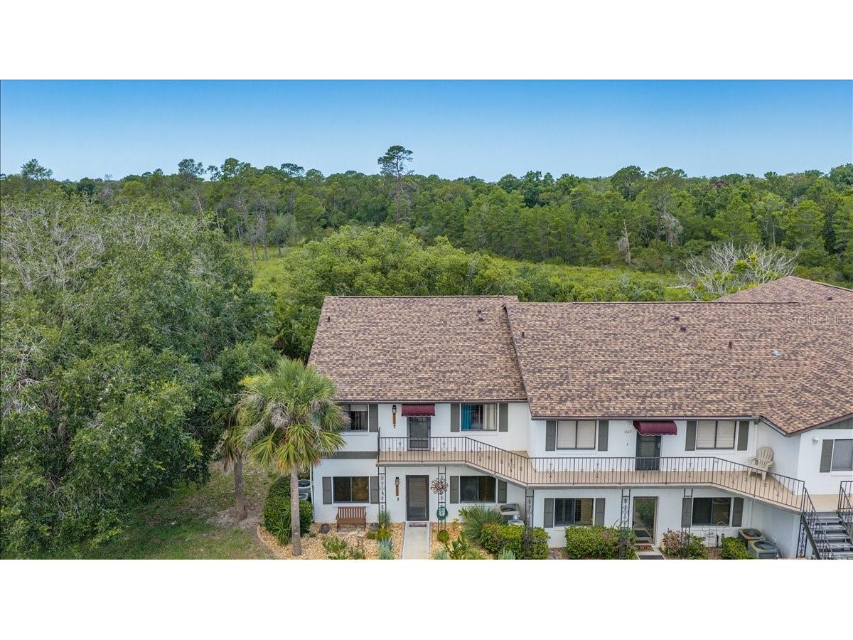 6653 River Run Boulevard #6653 Weeki Wachee FL 34607 TB8524803 image47