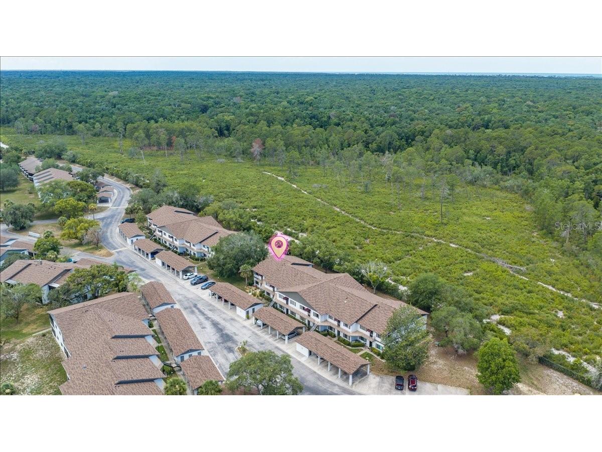 6653 River Run Boulevard #6653 Weeki Wachee FL 34607 TB8524803 image49