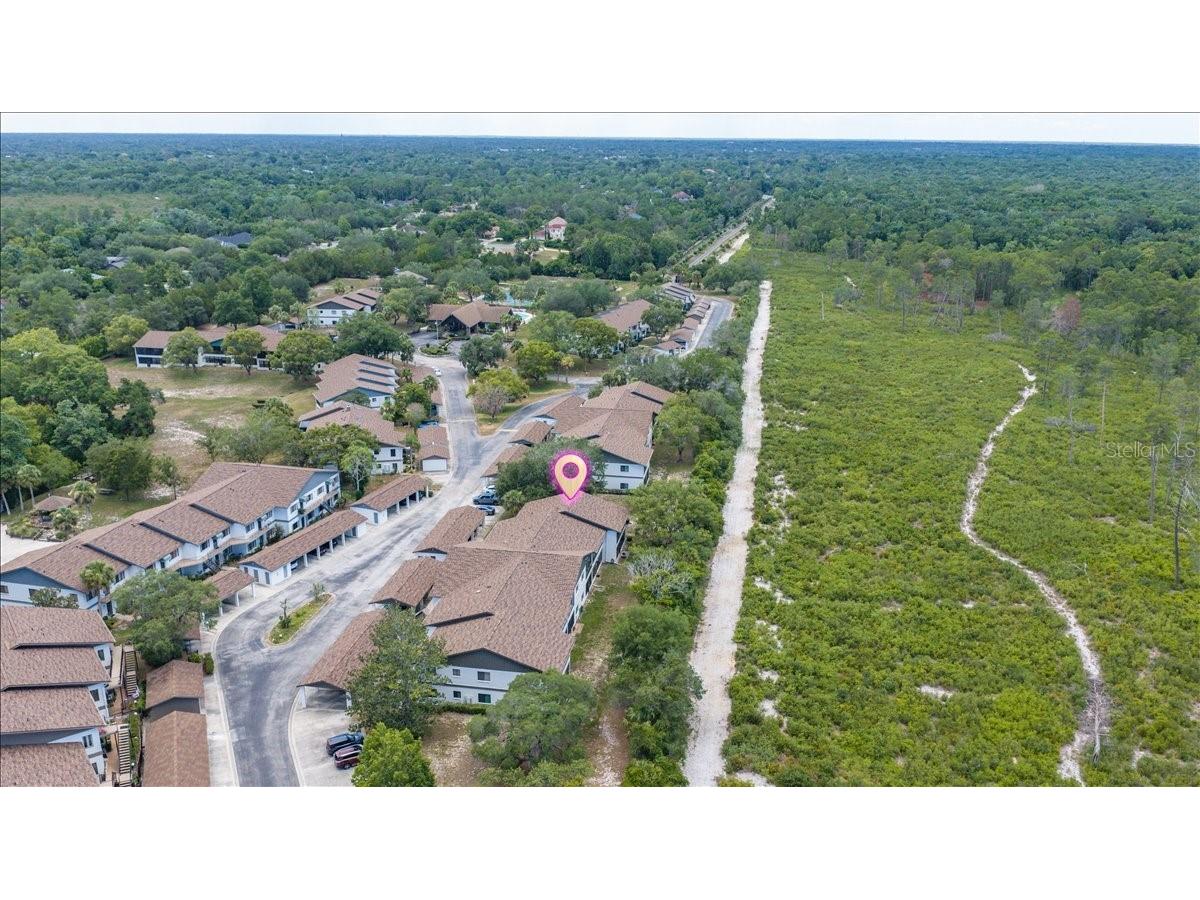 6653 River Run Boulevard #6653 Weeki Wachee FL 34607 TB8524803 image50