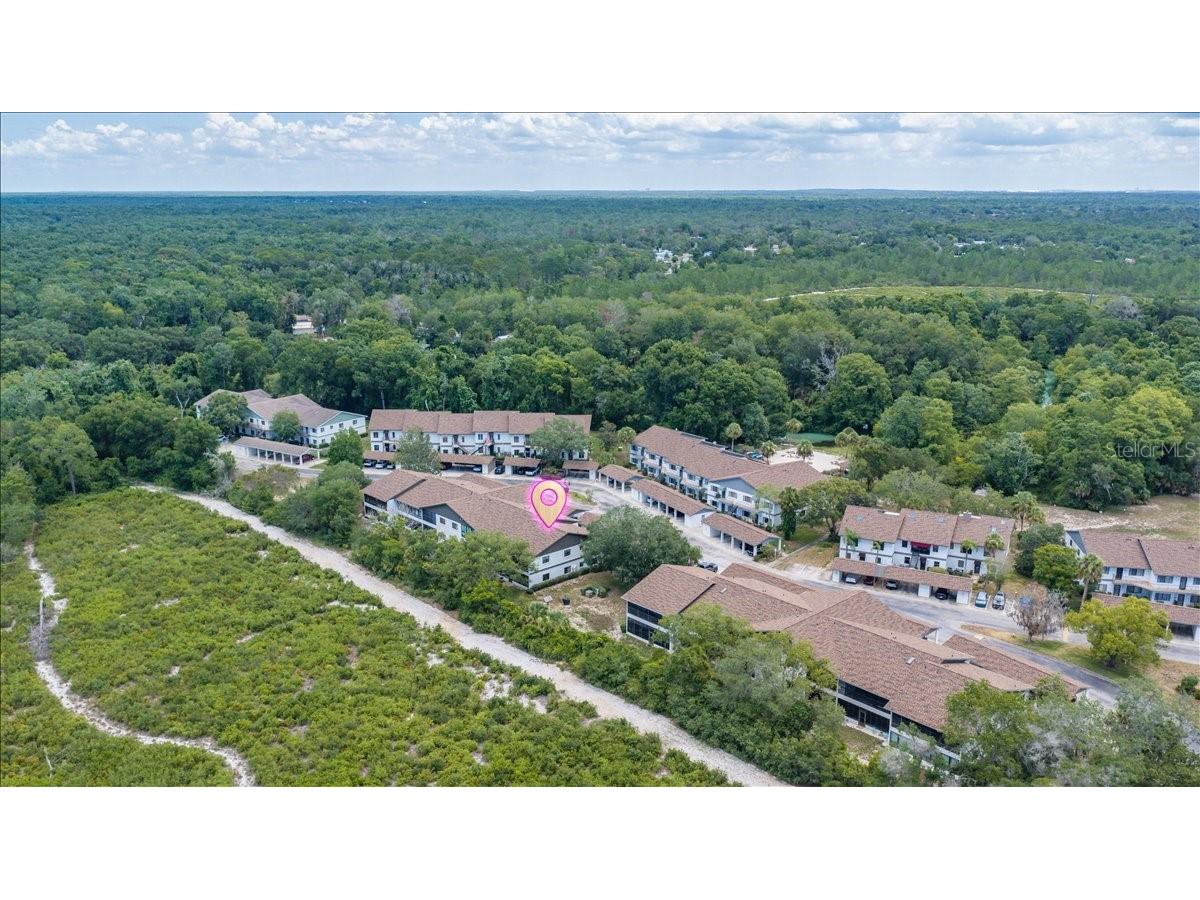 6653 River Run Boulevard #6653 Weeki Wachee FL 34607 TB8524803 image53