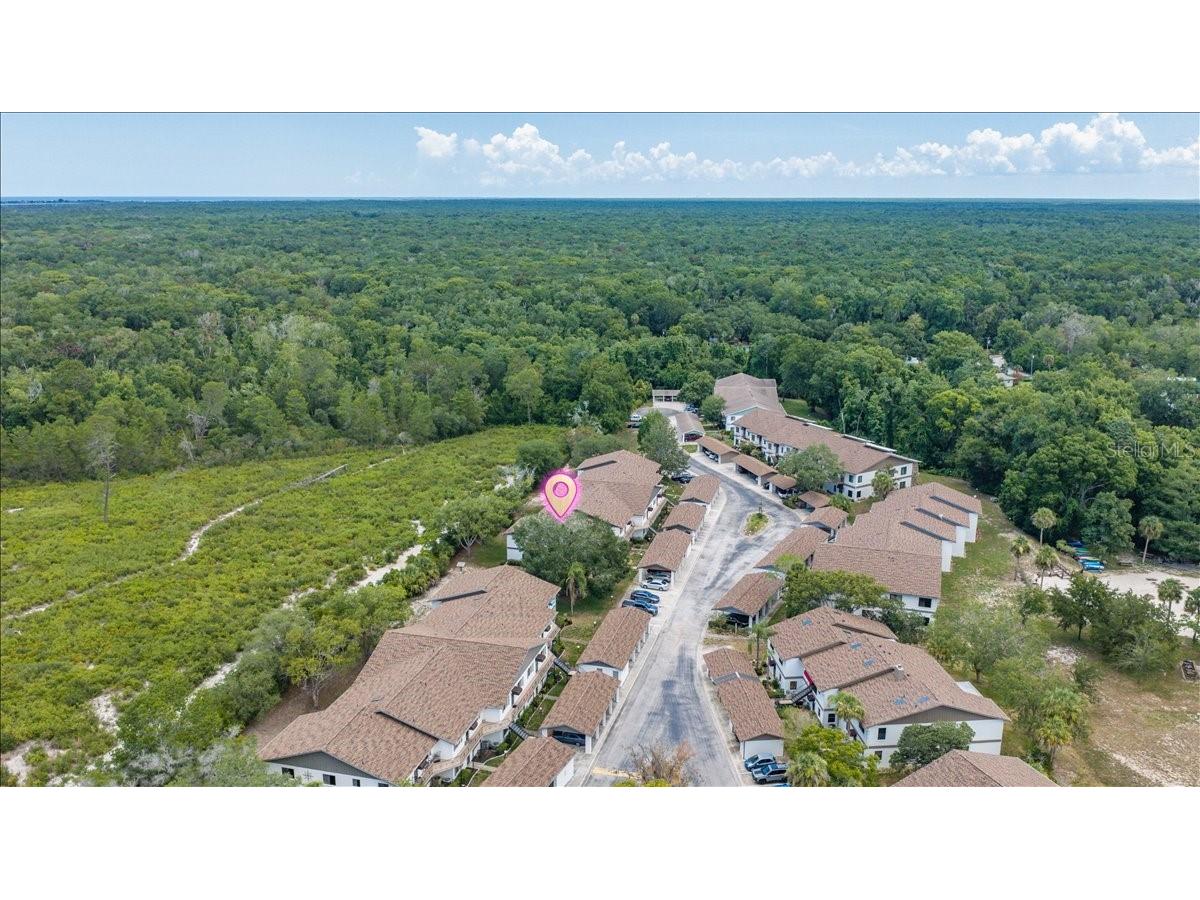 6653 River Run Boulevard #6653 Weeki Wachee FL 34607 TB8524803 image54