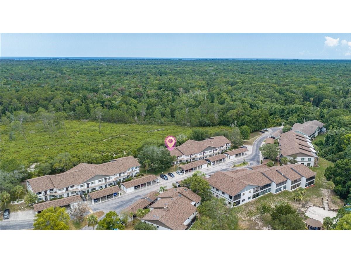 6653 River Run Boulevard #6653 Weeki Wachee FL 34607 TB8524803 image55