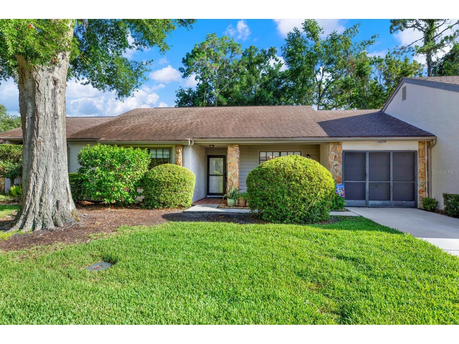 6654 Brambleleaf Drive Spring Hill FL 34606 W7876952 image1