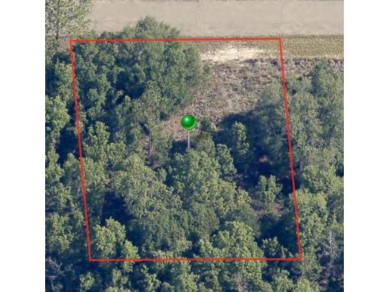 6654 N Underwood Drive Citrus Springs FL 34434 A4619217 image1