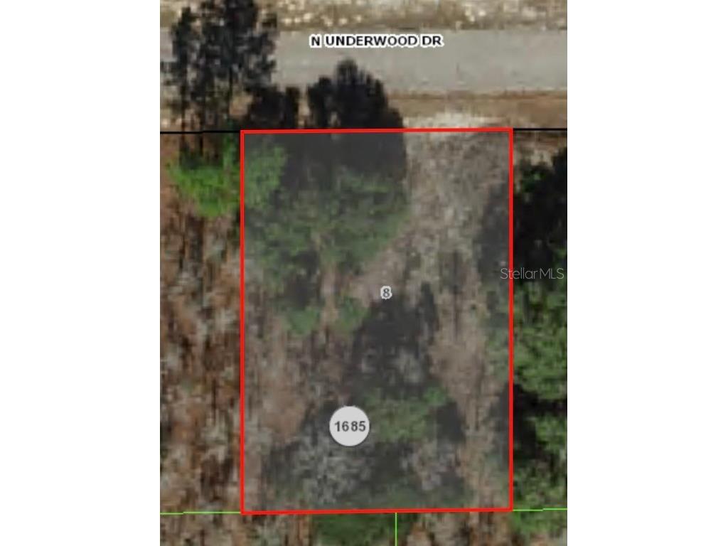 6654 N Underwood Drive Citrus Springs FL 34434 A4619217 image2