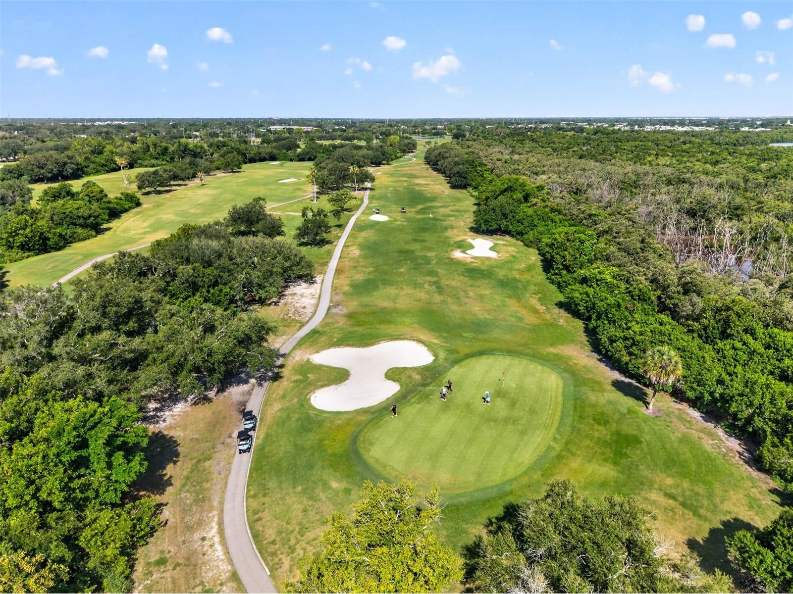 6655 Cape Sable Way NE #1 Saint Petersburg FL 33702 TB8517836 image38