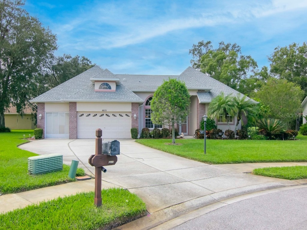 6655 Garden Palm Court New Port Richey FL 34655 W7858506 image1