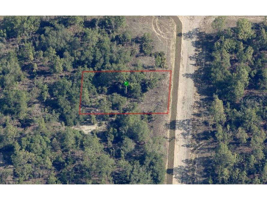 6656 N Winlock Terrace Dunnellon FL 34433 G5084314 image1