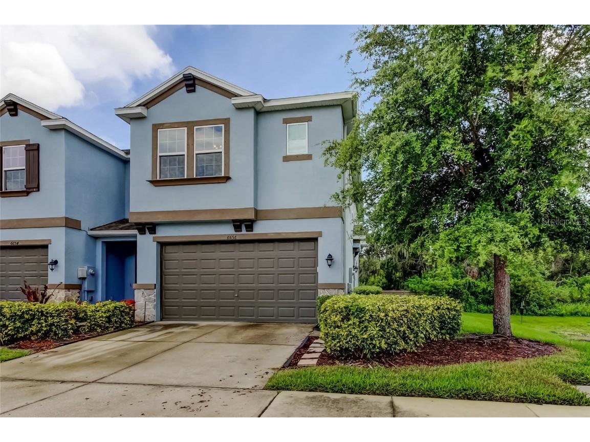 6656 Rocky Park Street Tampa FL 33625 TB8405152 image1