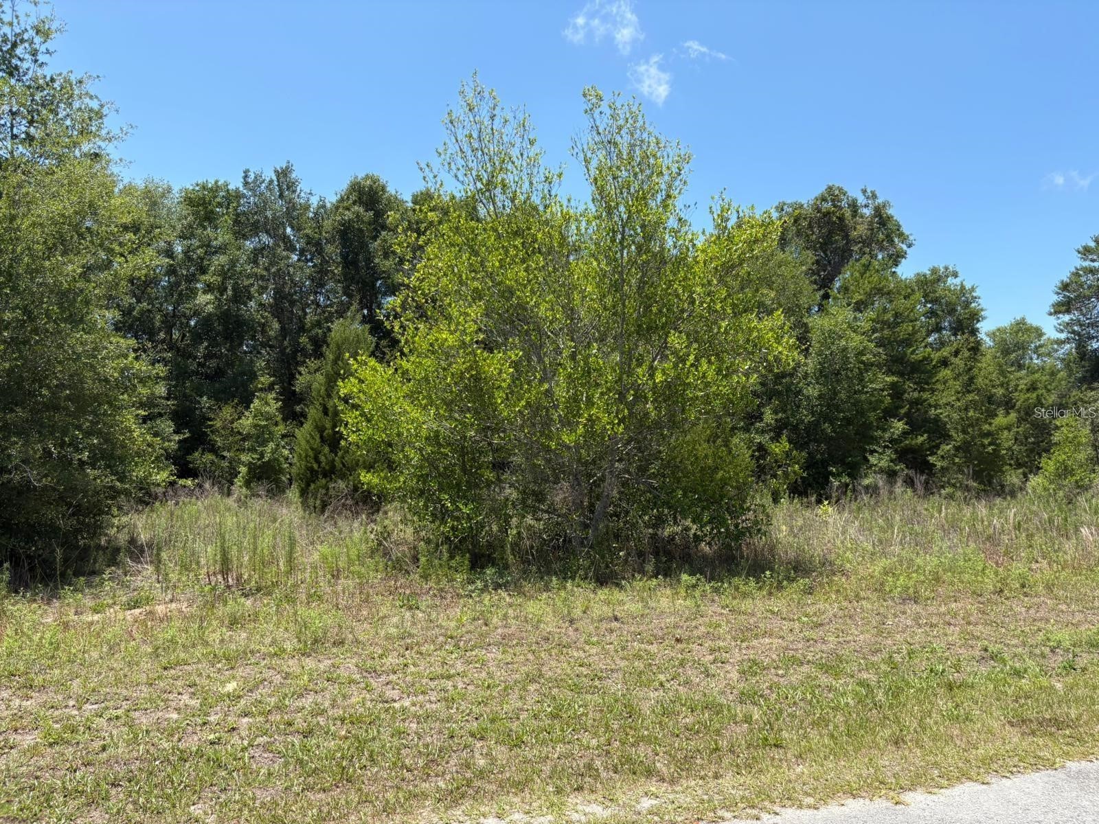 6658 N Flower Terrace Hernando FL 34442 O6373173 image2