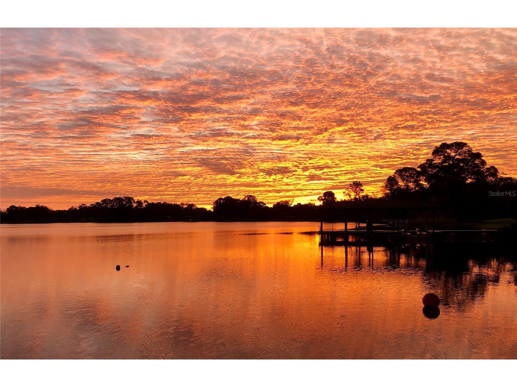 6659 Lake Cane Drive Orlando FL 32819 - LAKE CANE O6423126 image55