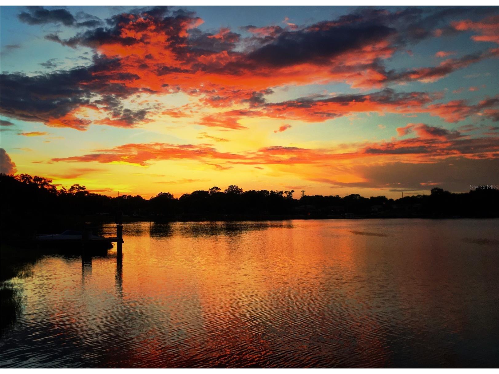 6659 Lake Cane Drive Orlando FL 32819 - LAKE CANE O6423126 image58