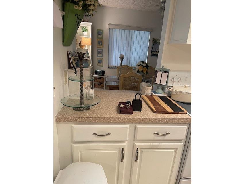 666 Midway Drive #A Ocala FL 34472 OM720984 image11