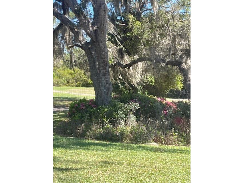 666 Midway Drive #A Ocala FL 34472 OM720984 image29