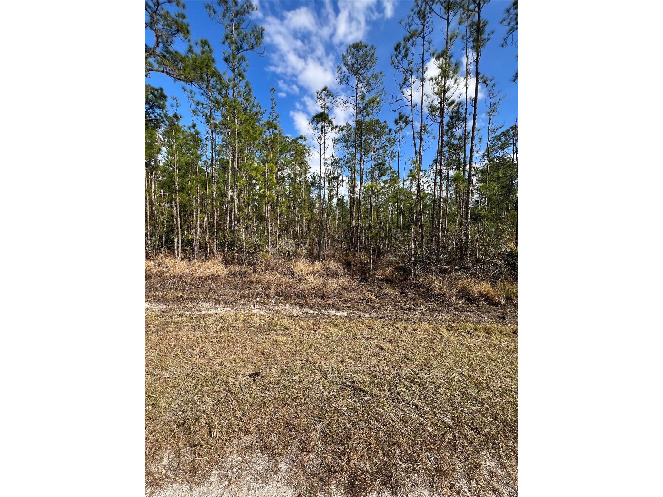 6660 Balboa Boulevard Sebring FL 33872 O6381488 image1