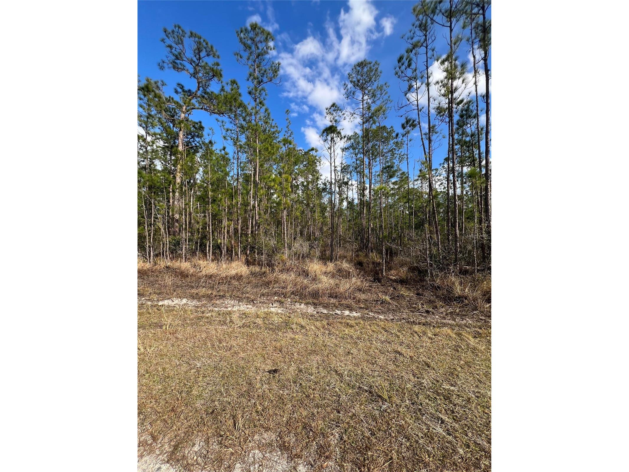 6660 Balboa Boulevard Sebring FL 33872 O6381488 image2