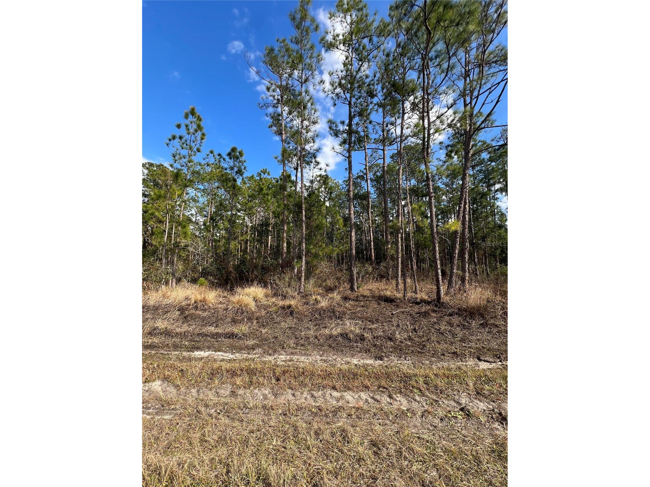 6660 Balboa Boulevard Sebring FL 33872 O6381488 image3