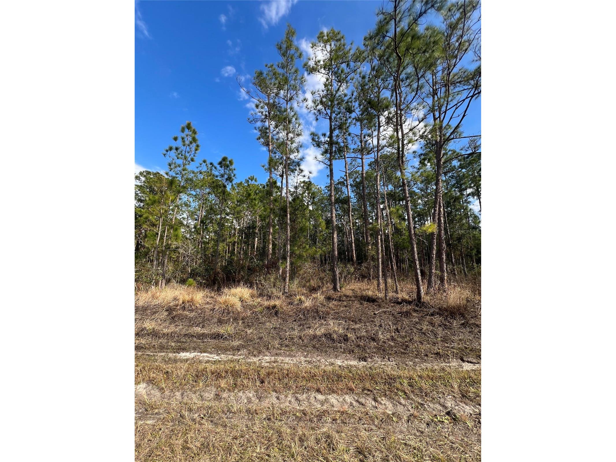 6660 Balboa Boulevard Sebring FL 33872 O6381488 image4