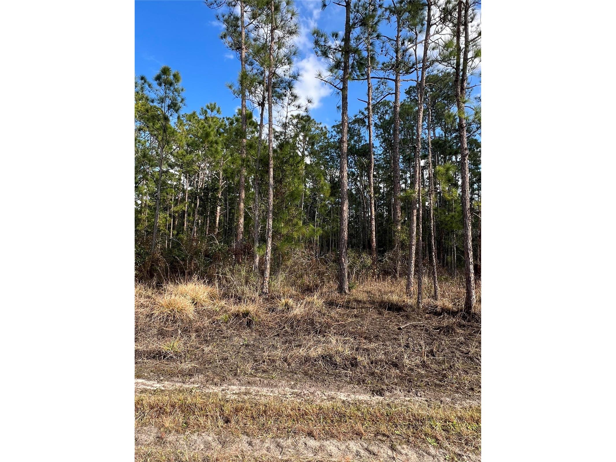 6660 Balboa Boulevard Sebring FL 33872 O6381488 image6