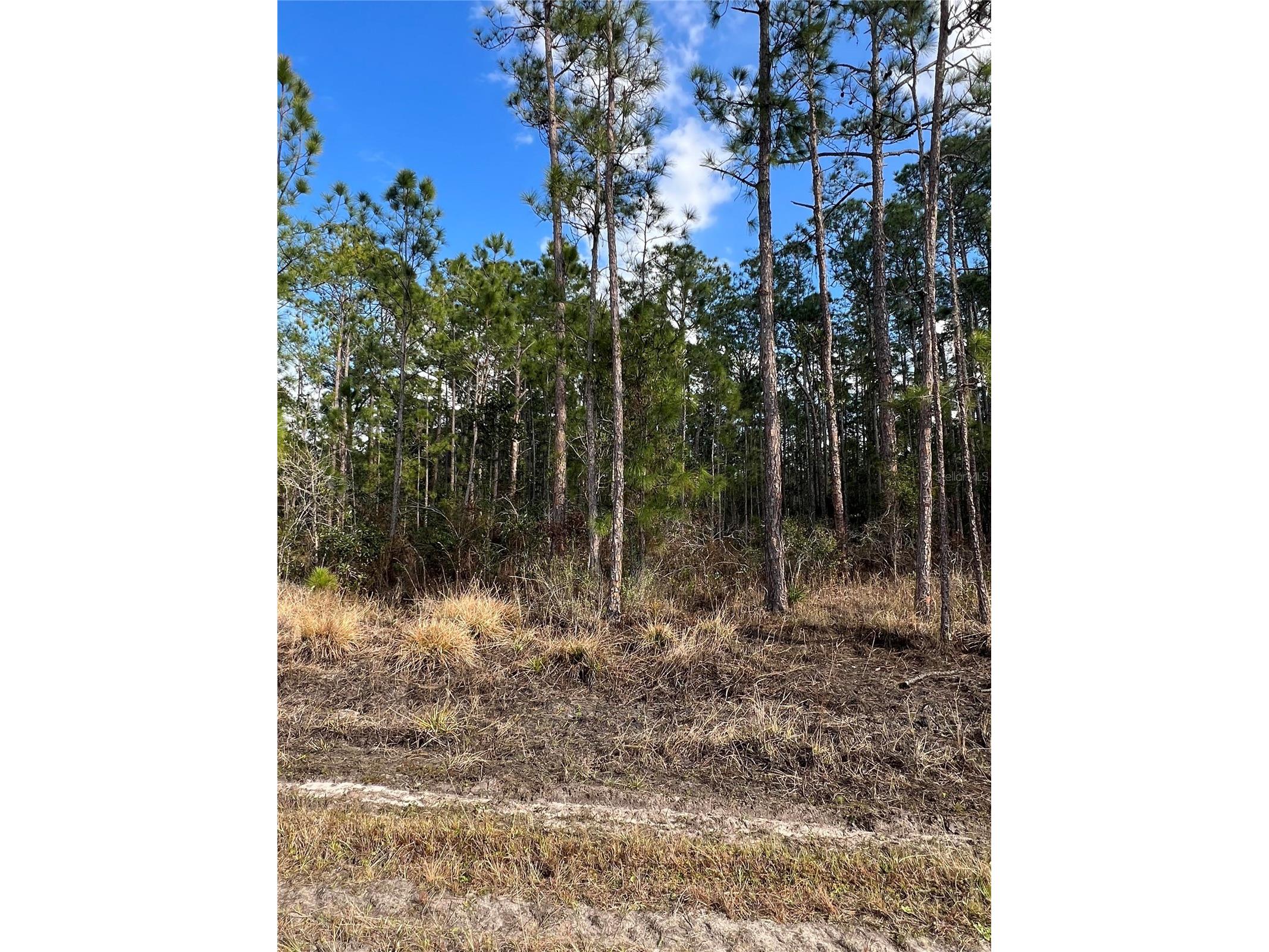 6660 Balboa Boulevard Sebring FL 33872 O6381488 image7