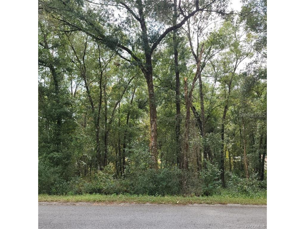 6660 E Glencoe Street Inverness FL 34452 W7852363 image1