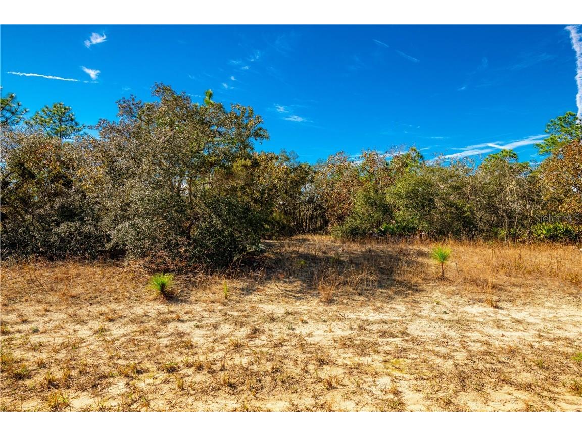 6660 N Tassel Terrace Citrus Springs FL 34433 T3418854 image1