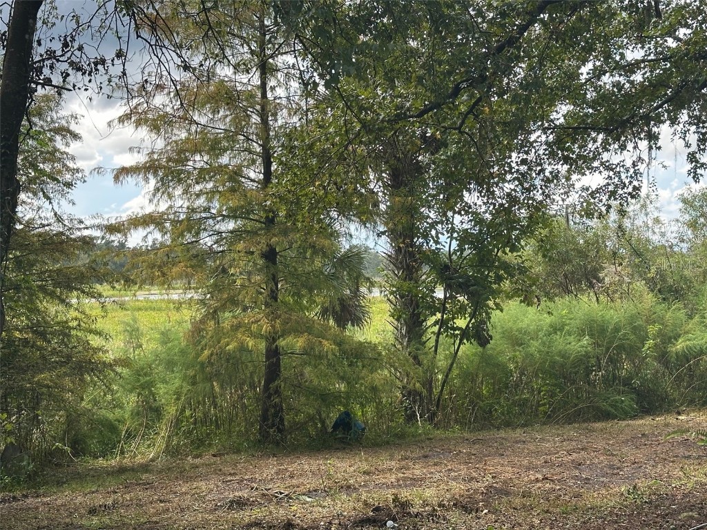 6661 E Turner Camp Road Inverness FL 34453 OM710423 image2