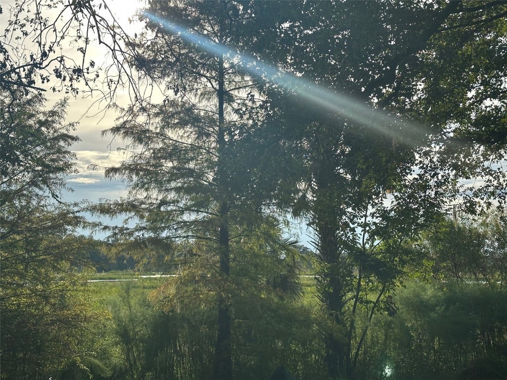 6661 E Turner Camp Road Inverness FL 34453 OM710423 image5