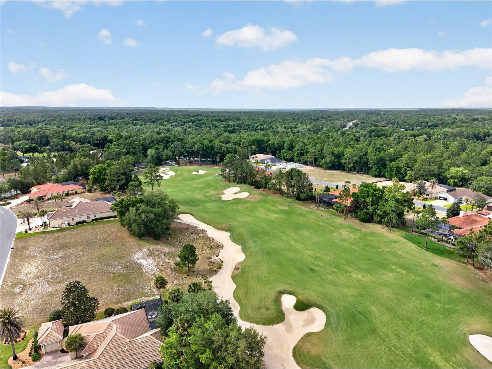6662 SW 179th Avenue Road Dunnellon FL 34432 OM724055 image38