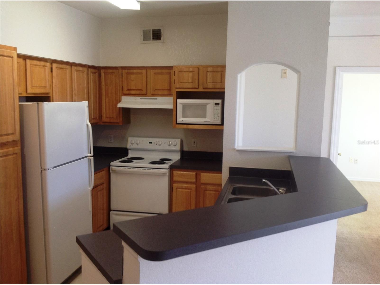 6663 Queens Borough Avenue #207 Orlando FL 32835 O6413110 image2