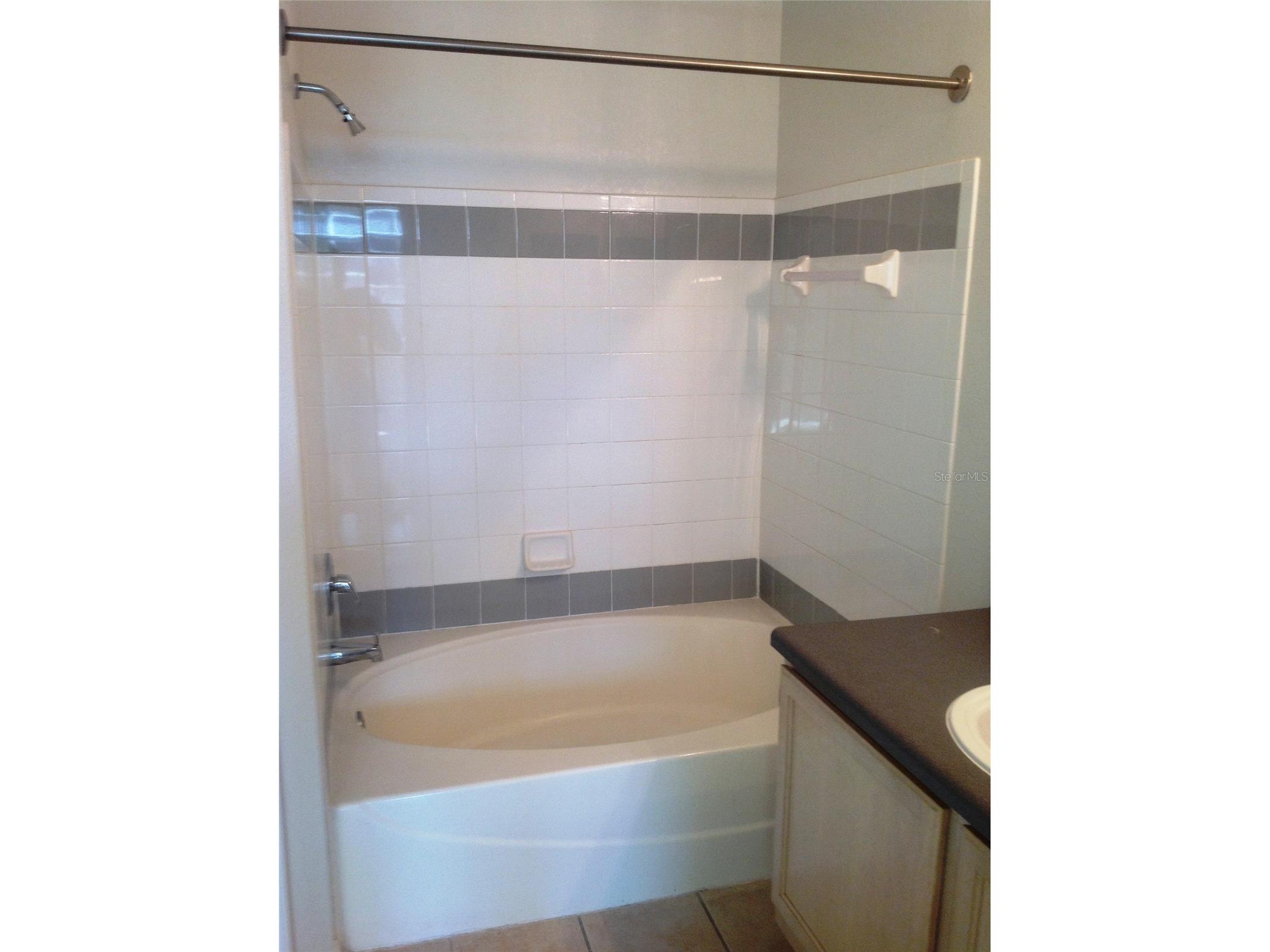 6663 Queens Borough Avenue #207 Orlando FL 32835 O6413110 image20