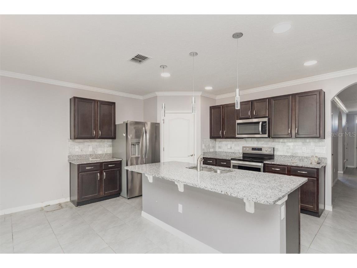 6664 Coral Berry Drive Mount Dora FL 32757 O6360688 image11