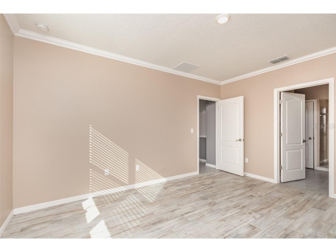 6664 Coral Berry Drive Mount Dora FL 32757 O6360688 image18