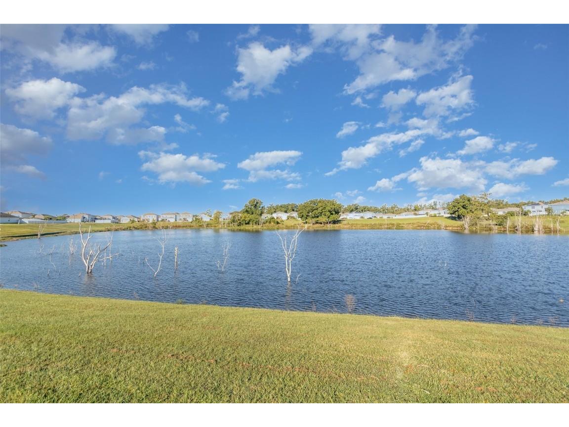 6664 Coral Berry Drive Mount Dora FL 32757 O6360688 image42