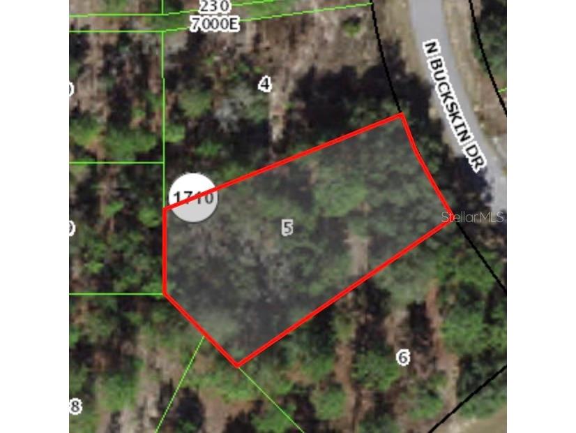 6664 N Buckskin Drive Citrus Springs FL 34434 A4580542 image1