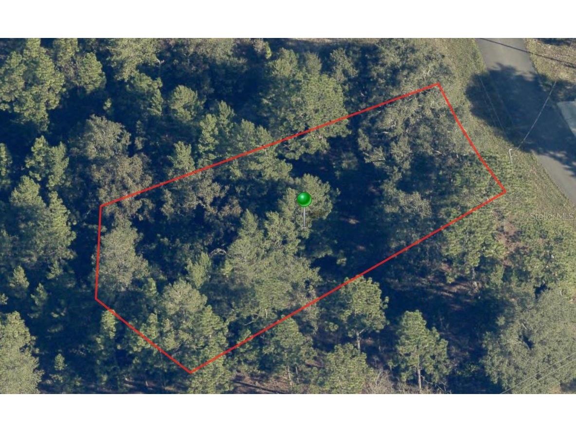 6664 N Buckskin Drive Citrus Springs FL 34434 A4580542 image2