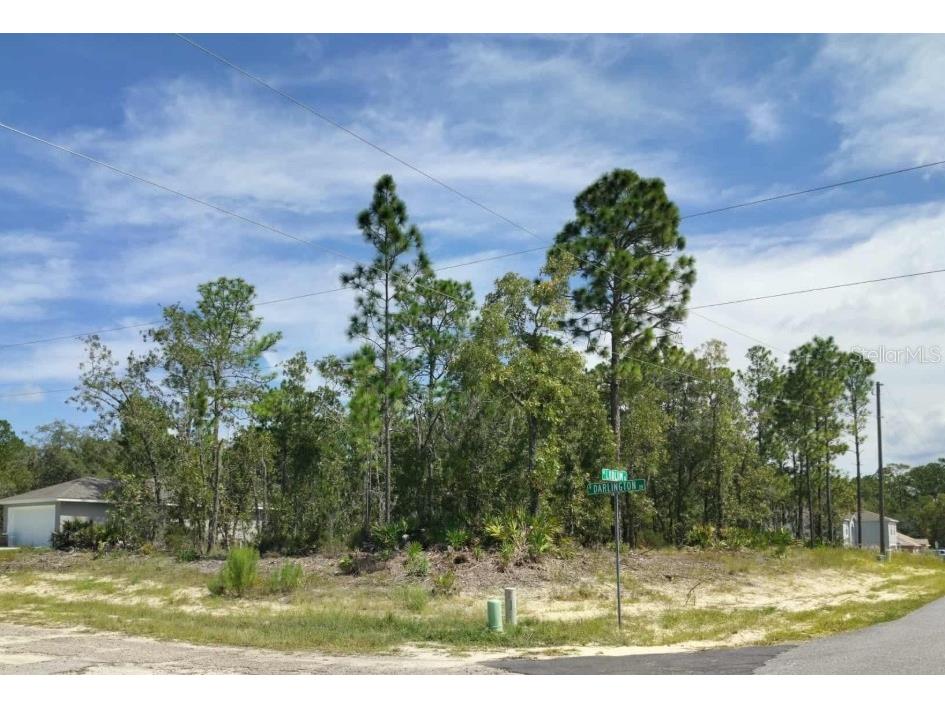 6665 N Darlington Drive Dunnellon FL 34434 TB8429306 image1