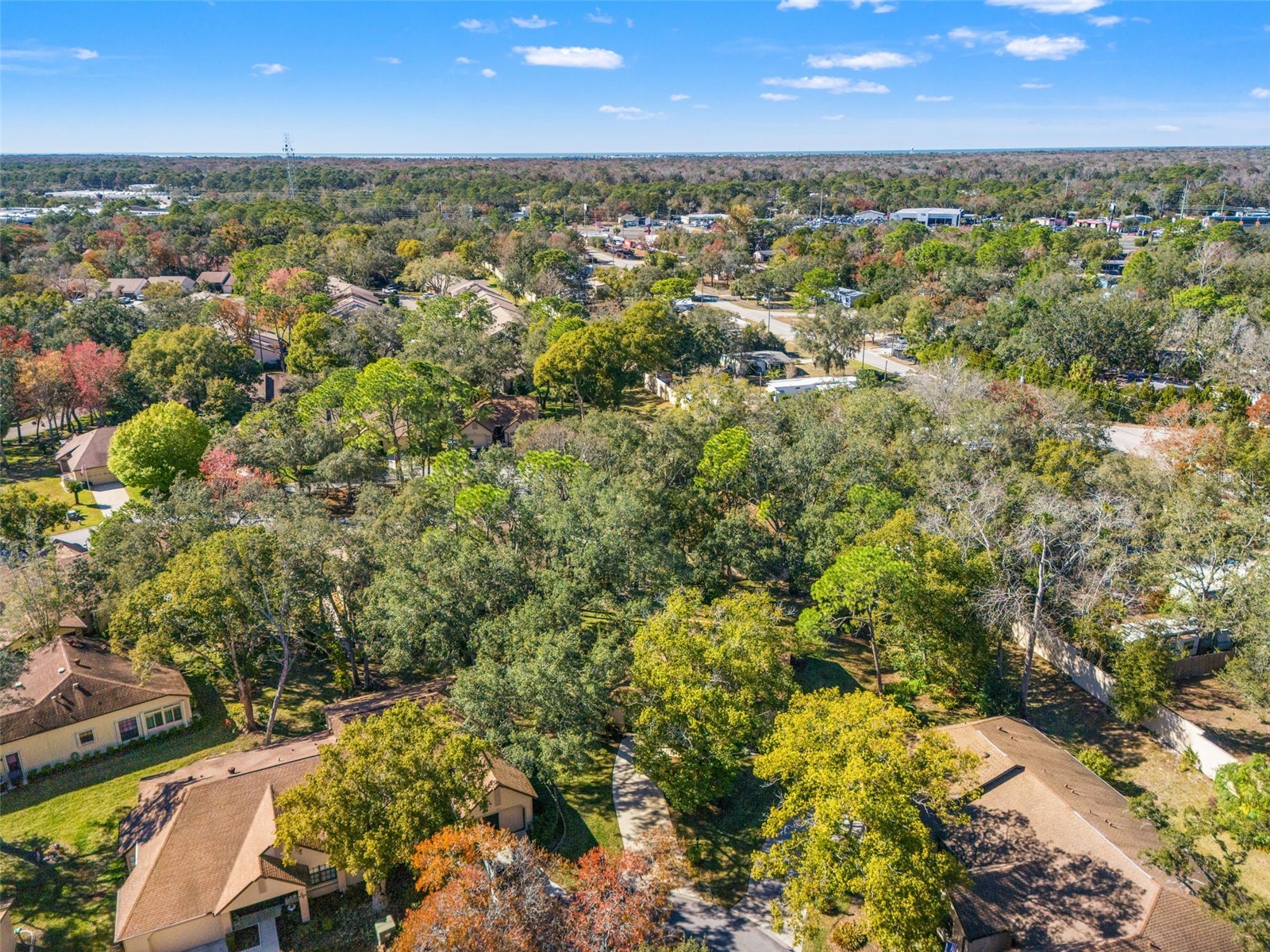 6665 Water Oak Court Spring Hill FL 34606 W7882481 image45