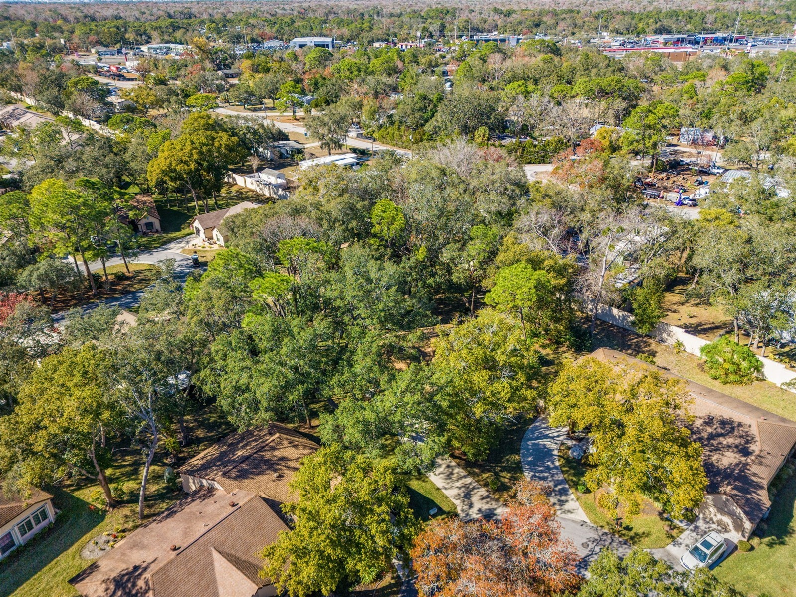 6665 Water Oak Court Spring Hill FL 34606 W7882481 image46