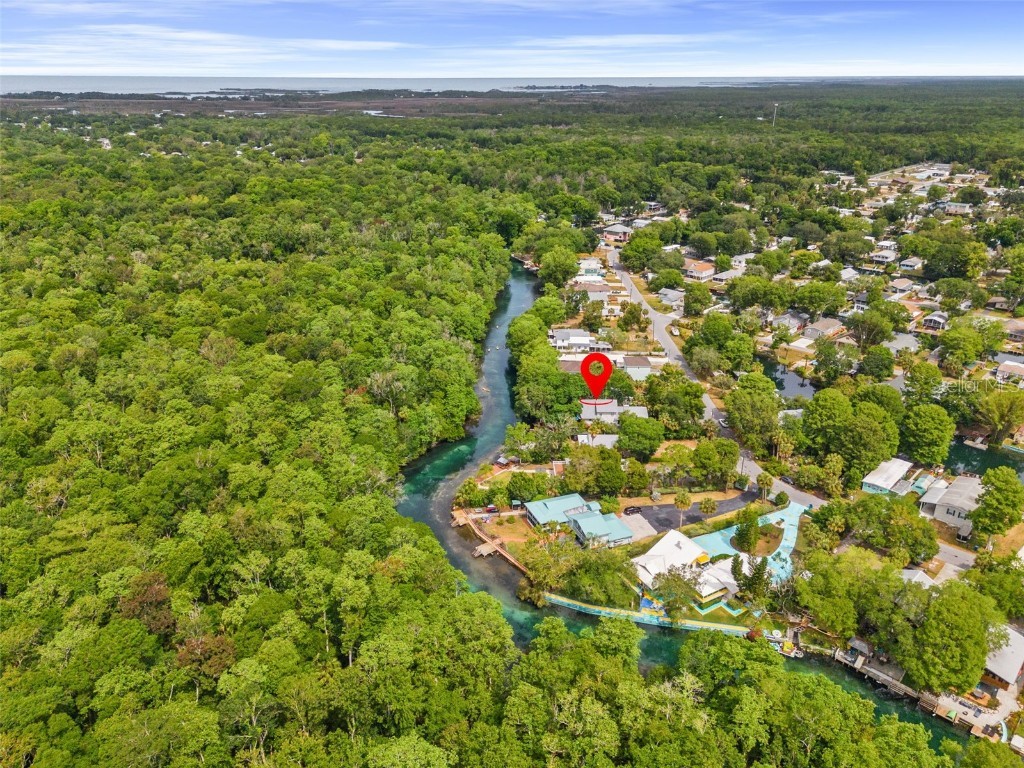 6666 W Richard Drive Weeki Wachee FL 34607 - WEEKI WACHEE RIVER T3523108 image1