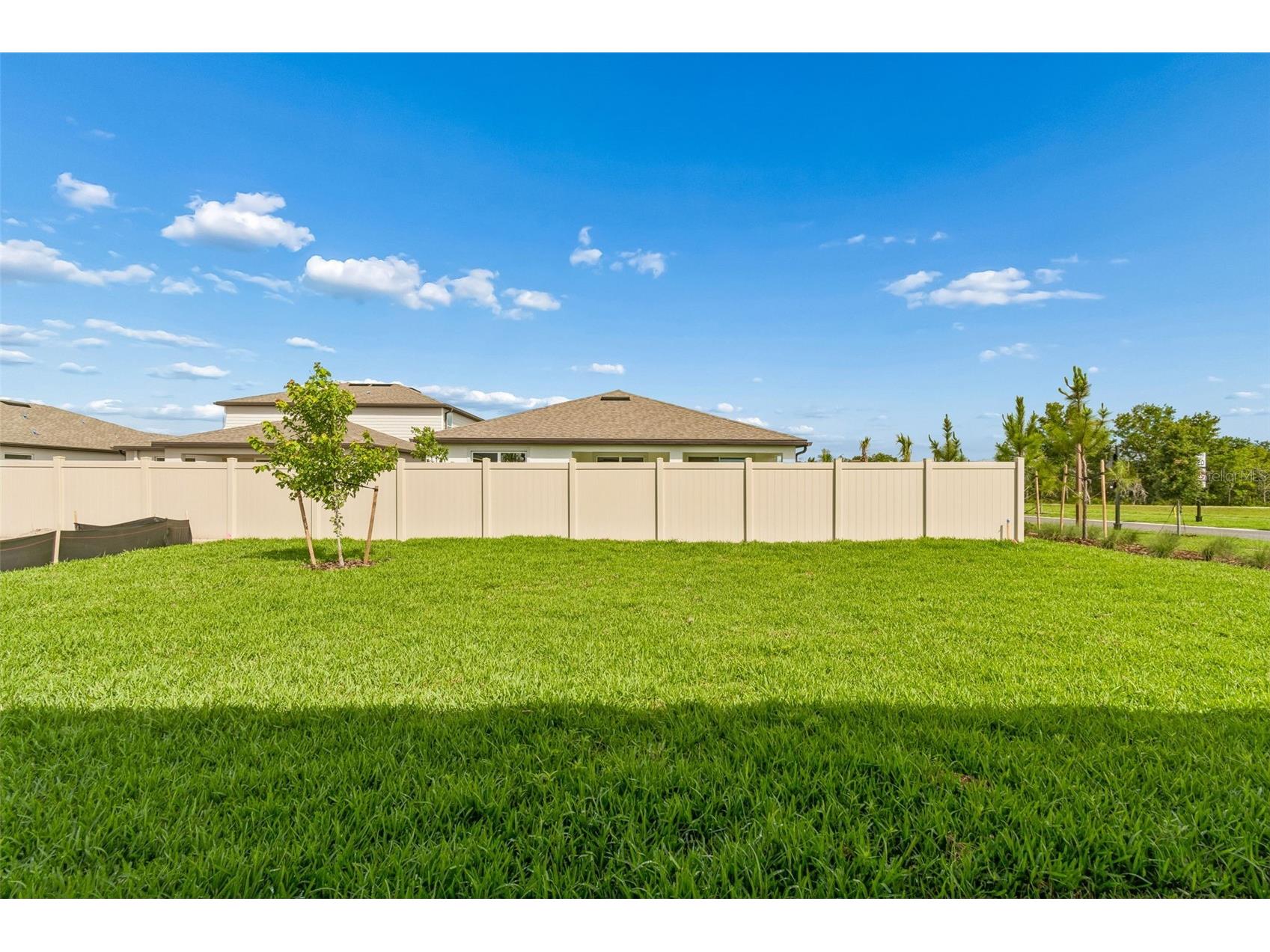 6669 Asbury Barnes Lane Wesley Chapel FL 33545 TB8508951 image100