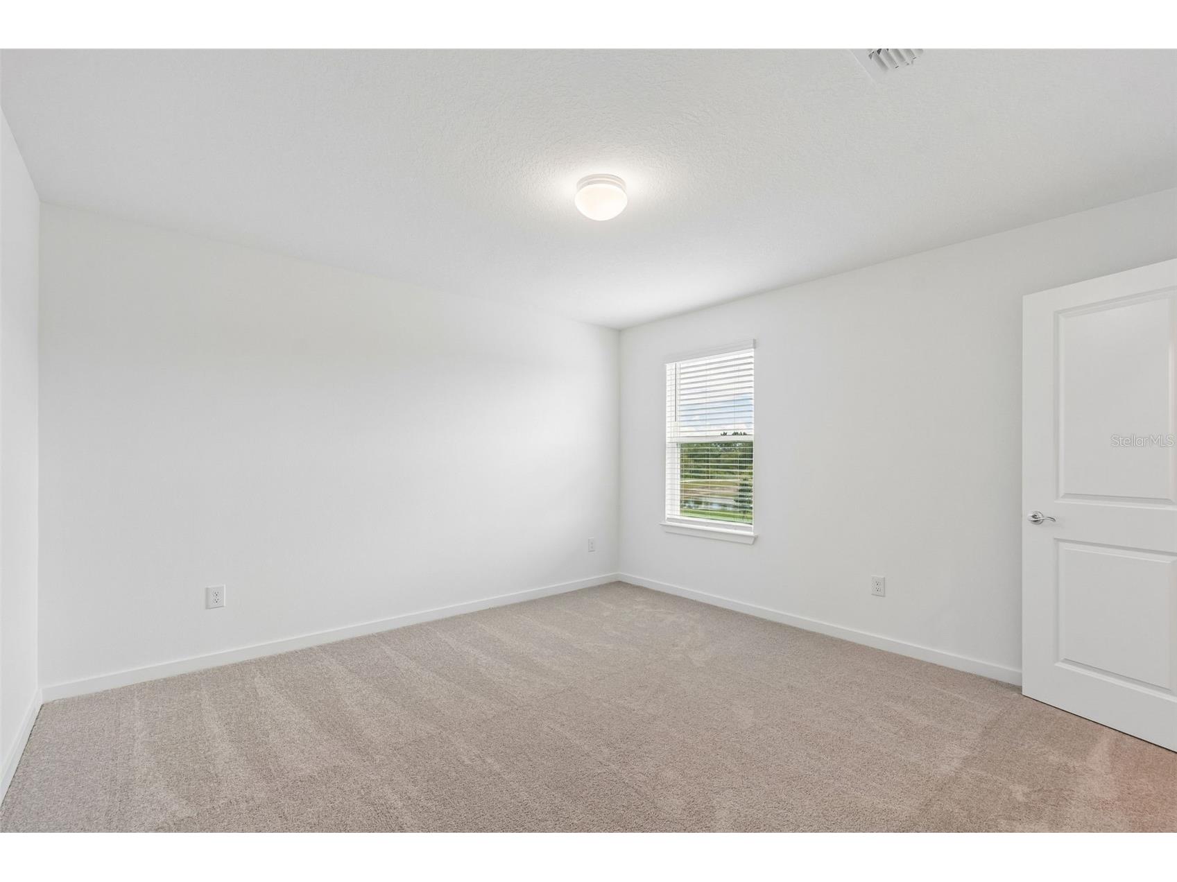 6669 Asbury Barnes Lane Wesley Chapel FL 33545 TB8508951 image69