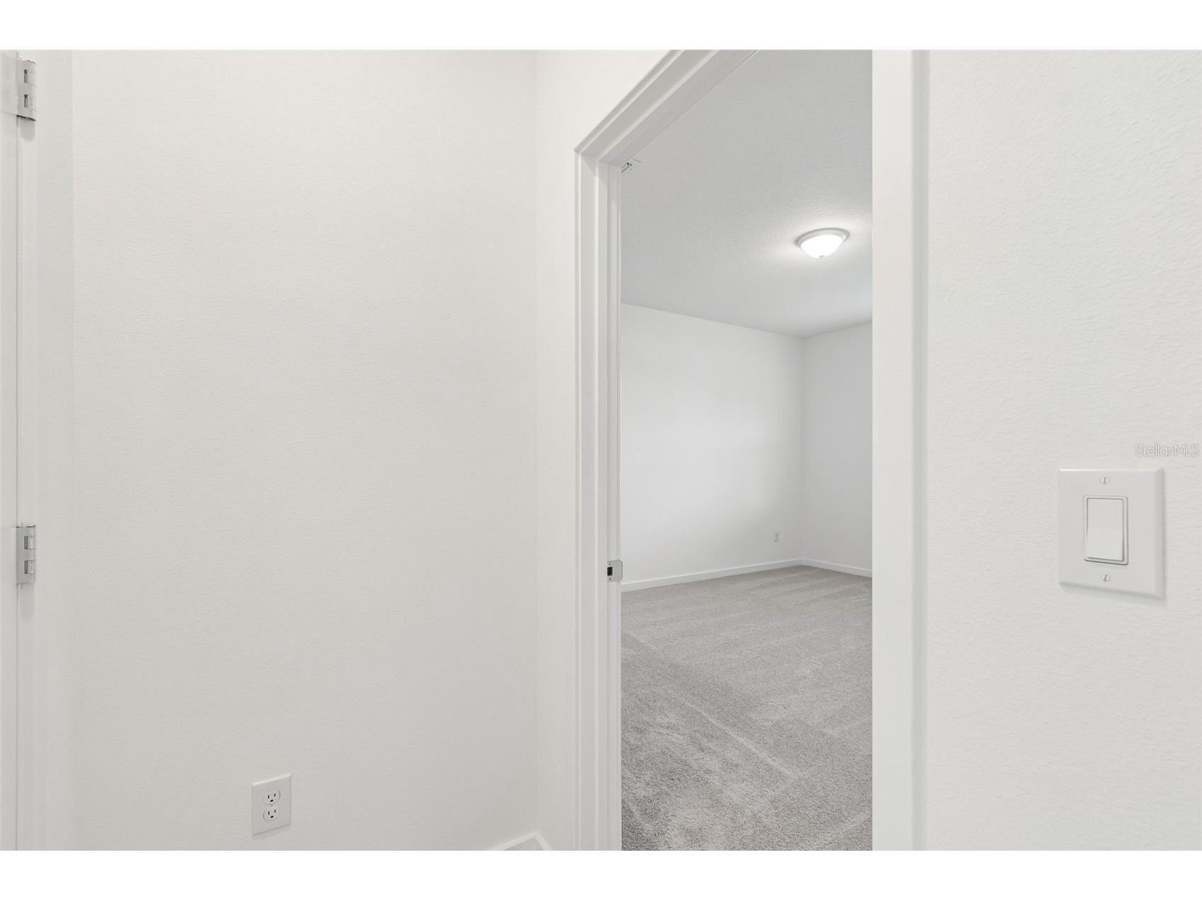 6669 Asbury Barnes Lane Wesley Chapel FL 33545 TB8508951 image75