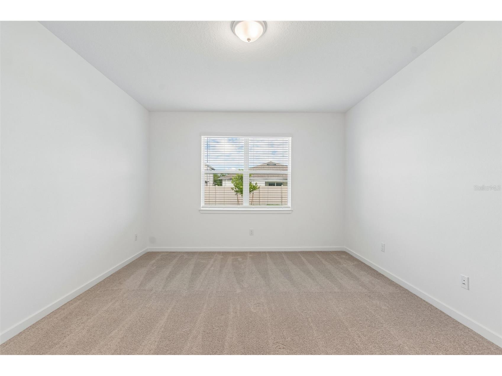 6669 Asbury Barnes Lane Wesley Chapel FL 33545 TB8508951 image80