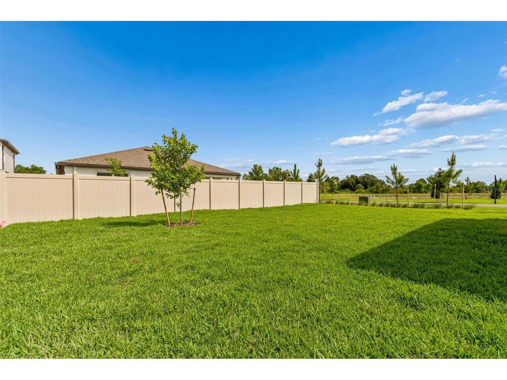 6669 Asbury Barnes Lane Wesley Chapel FL 33545 TB8508951 image99