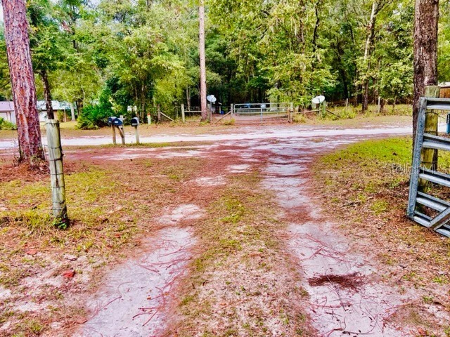 6669 NW 36th Lane Bell FL 32619 GC531262 image7