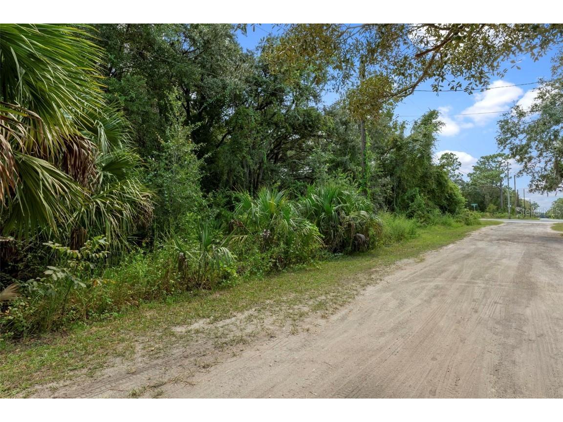 6669 W Cardinal Street Homosassa FL 34446 W7879203 image13